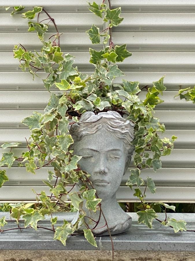 Maison Piccola Corte Piano di Sorrento Zewnętrze zdjęcie